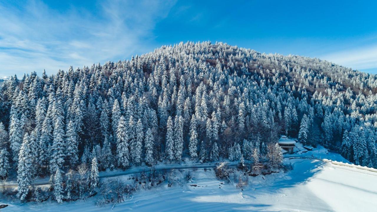 Hotel Sport, Resort Mavrovo Zewnętrze zdjęcie